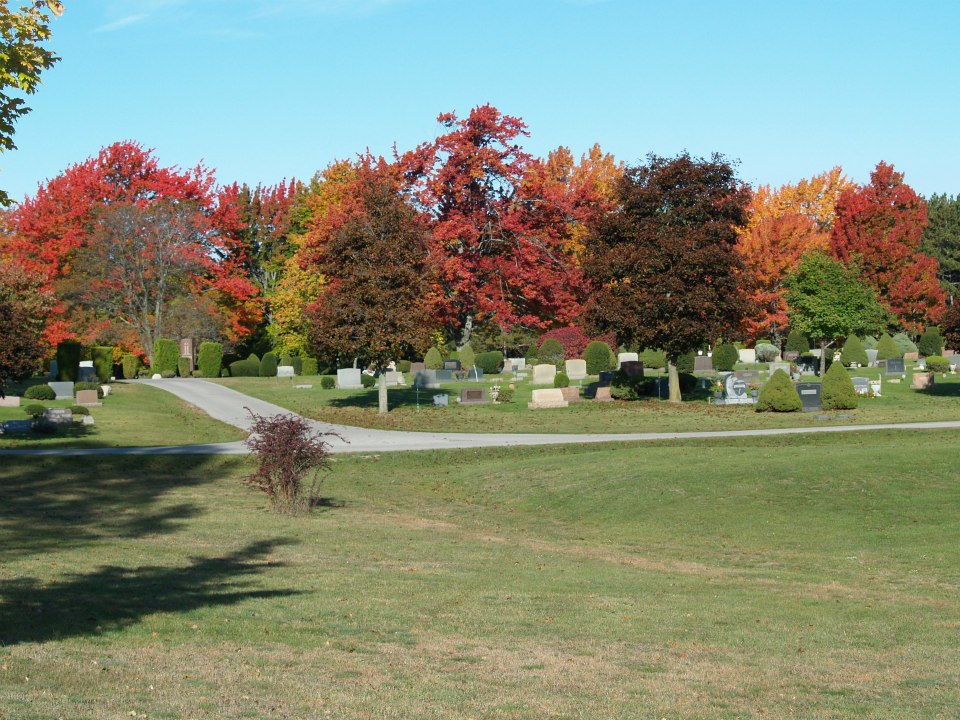 Fall Trees at the Cemetery